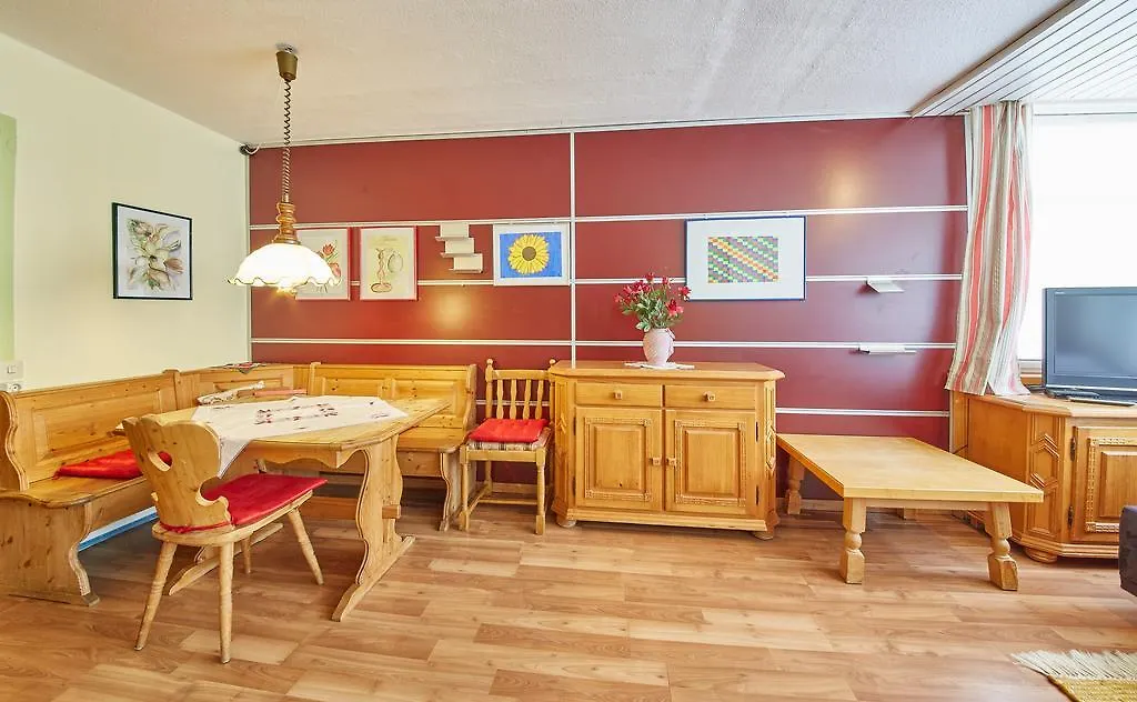 Appartements Alpin Saalbach-Hinterglemm Apartment