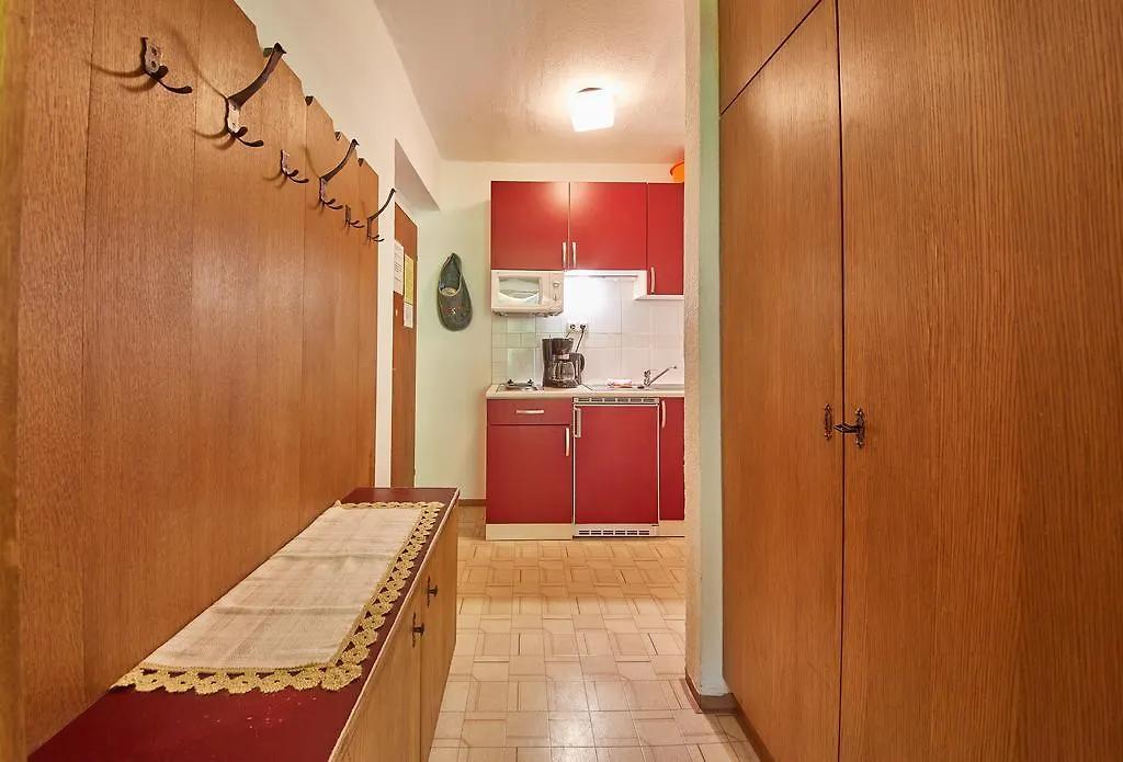 アパート Appartements Alpin ザールバッハ・ヒンターグレム