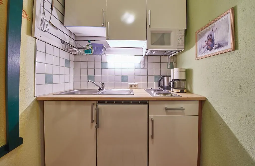 Appartements Alpin ザールバッハ・ヒンターグレム アパート