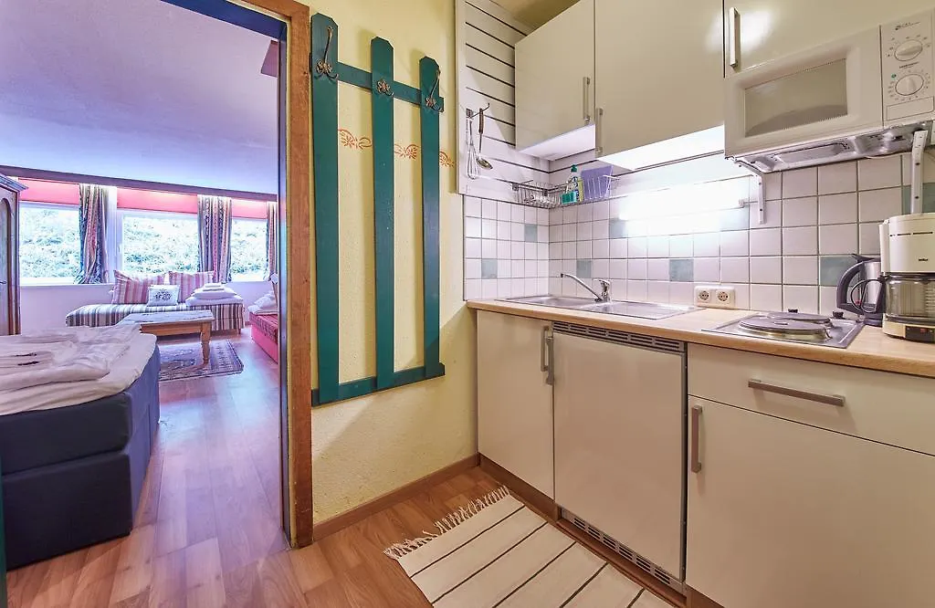 Appartements Alpin ザールバッハ・ヒンターグレム オーストリア