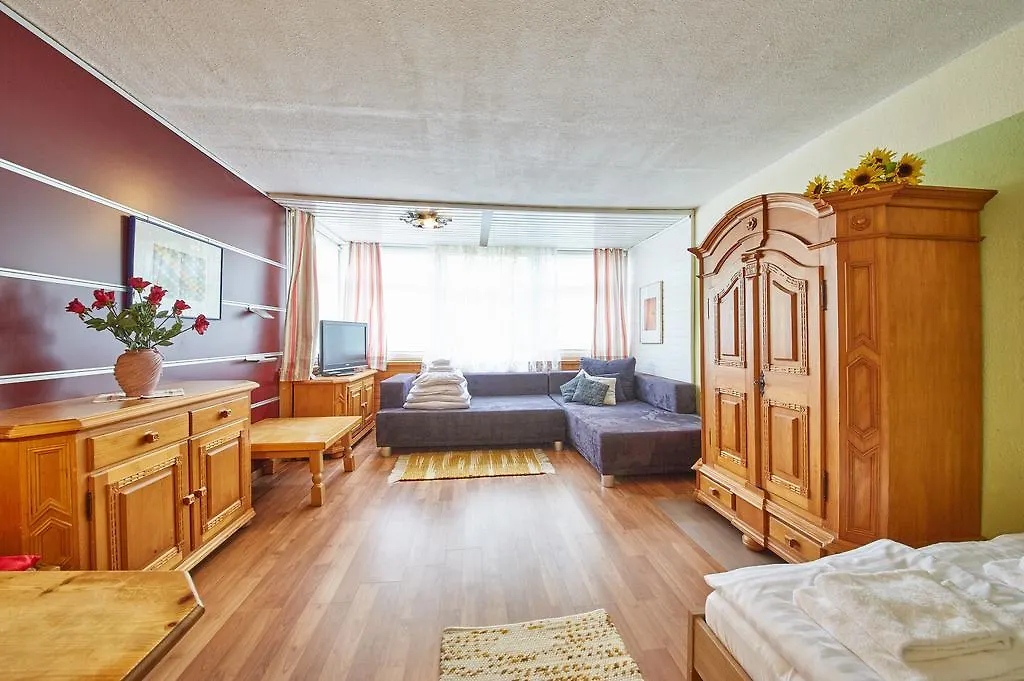 アパート Appartements Alpin ザールバッハ・ヒンターグレム オーストリア