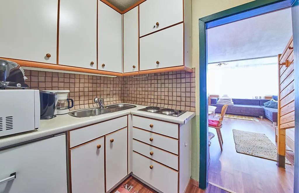 Appartements Alpin ザールバッハ・ヒンターグレム