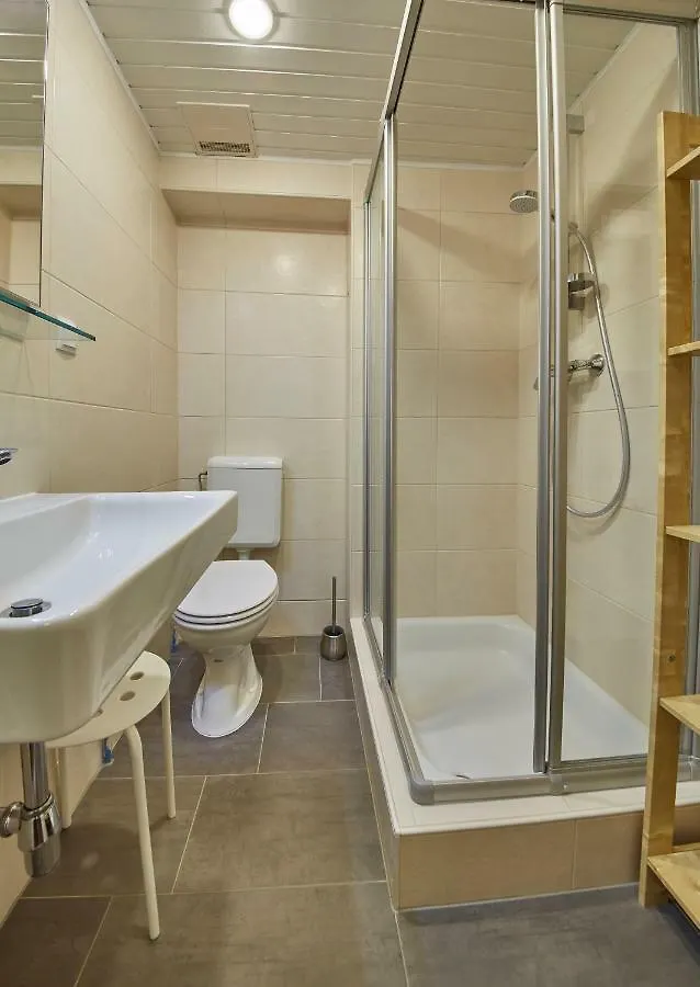 アパート Appartements Alpin ザールバッハ・ヒンターグレム オーストリア